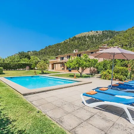 Cati Camp De Lausina