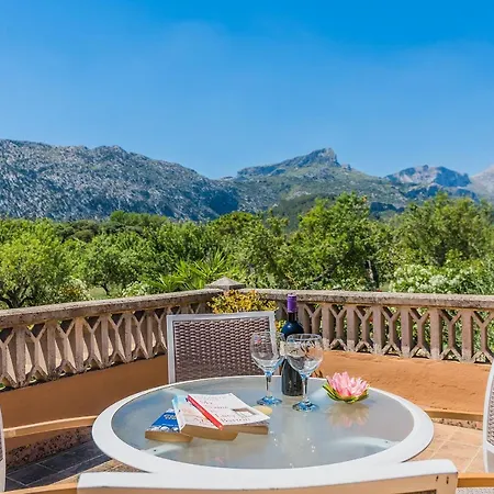 Cati Camp De Lausina