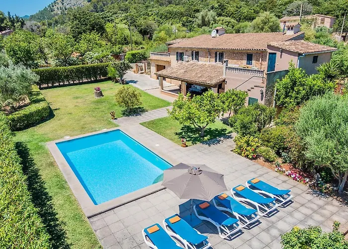 Cati Camp De Lausina