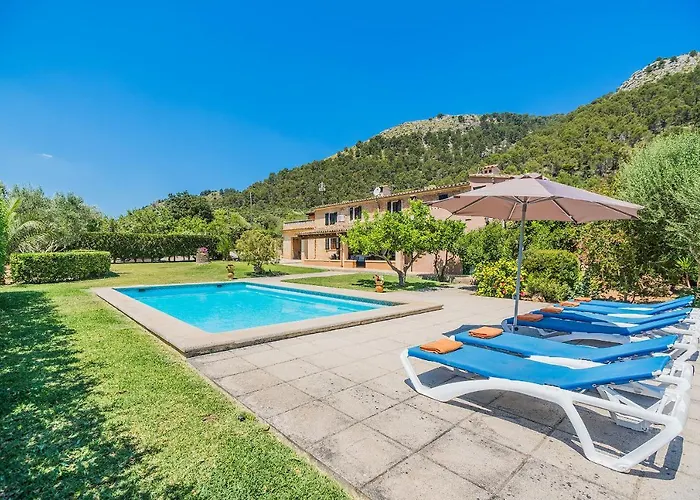 Cati Camp De Lausina