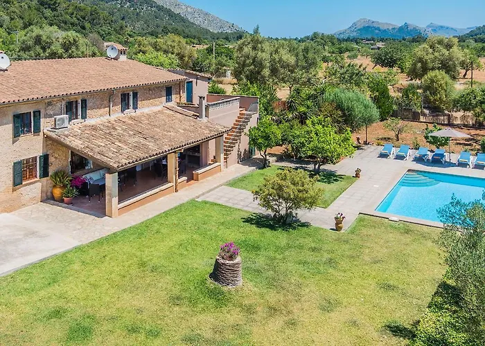 Cati Camp De Lausina *