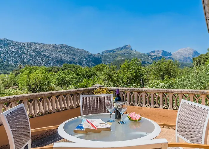 Cati Camp De Lausina