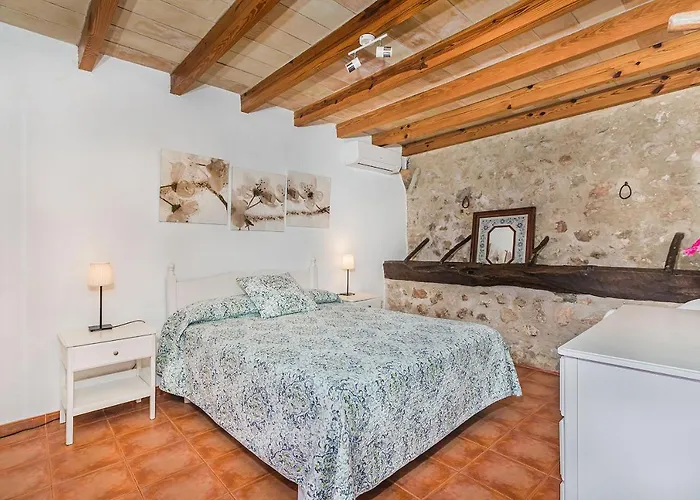 Cati Camp De Lausina